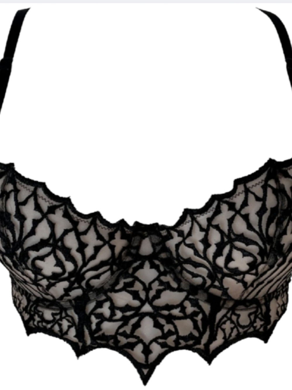 VIDENOIR Pointy Cathedral Embroidery Underwire Bra Gothic Lace NWT